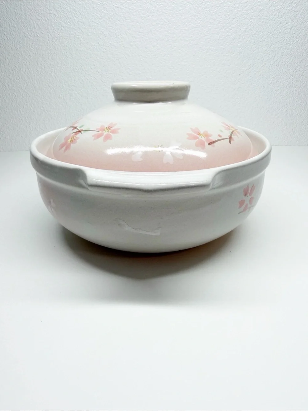 Donabe Earthernware Sakura Clay Floral Hot Pot Rice Cooker